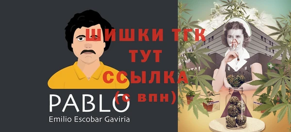 гидра Горно-Алтайск