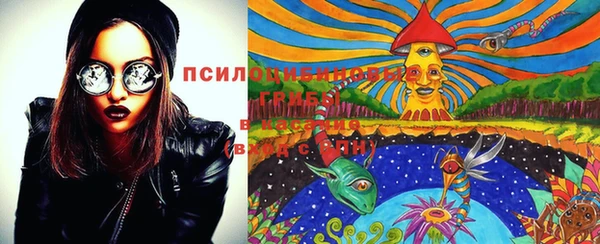 гашик Горнозаводск