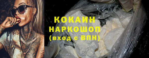 прущие крисы Горняк
