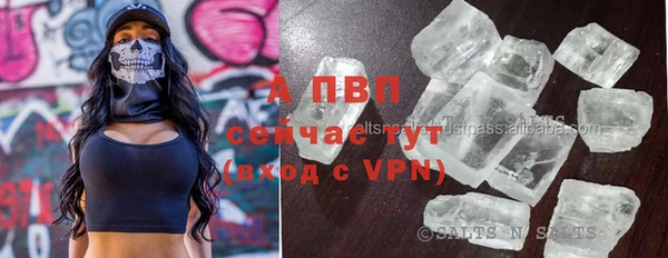 гидра Горно-Алтайск