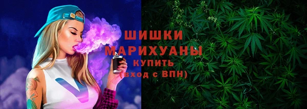 прущие крисы Горняк