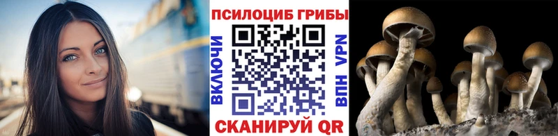 Купить закладки  Когалым  Псилоцибиновые грибы мухоморы 